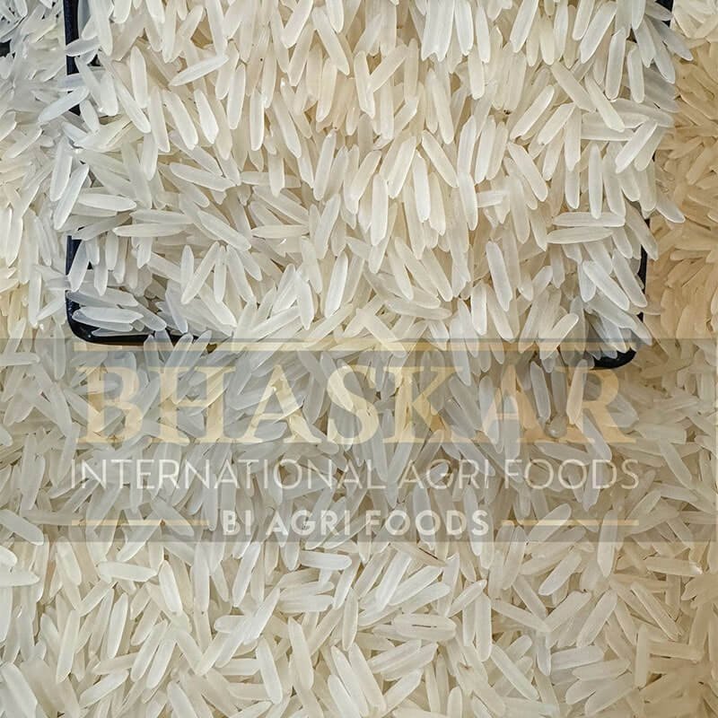 1121 Sella Basmati